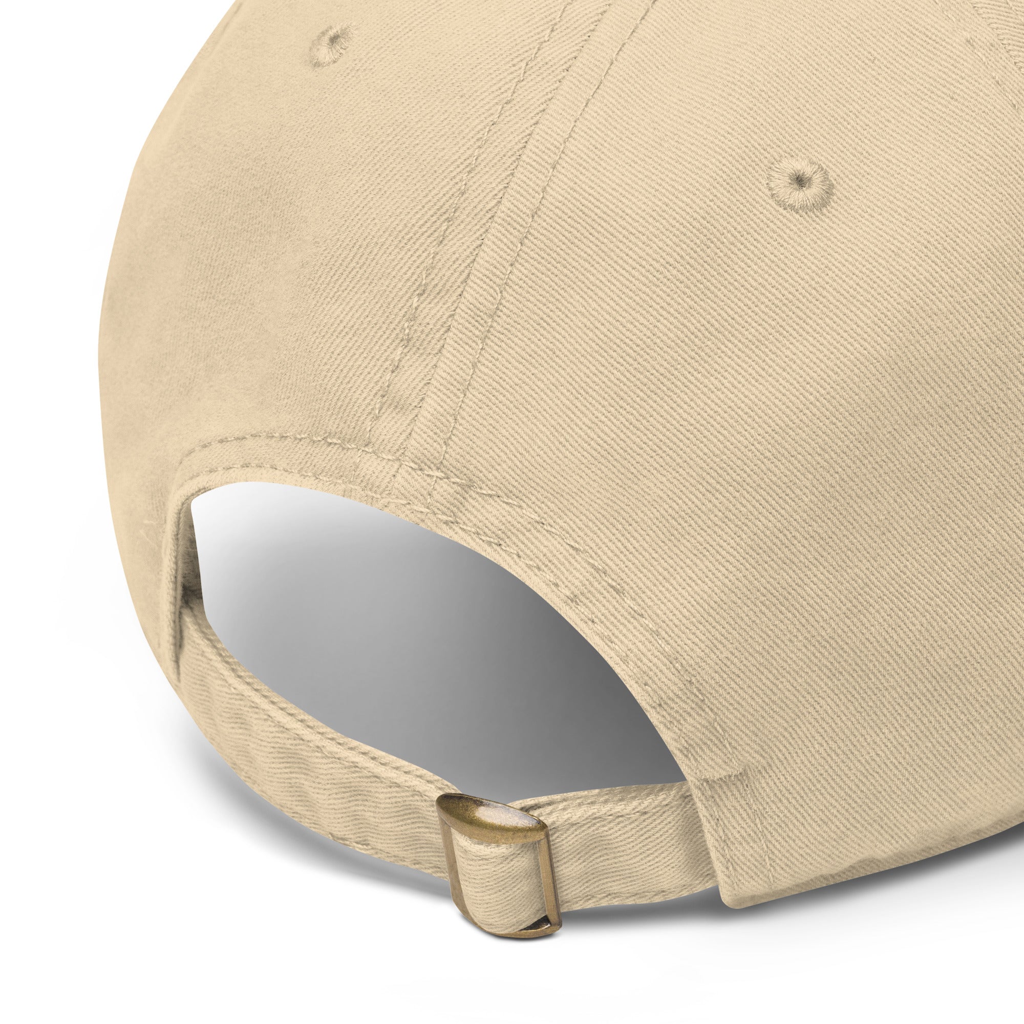 Retro Feline Adventure Maine Coon | Classic Baseball Cap for Cat Lovers by printfluence.net
