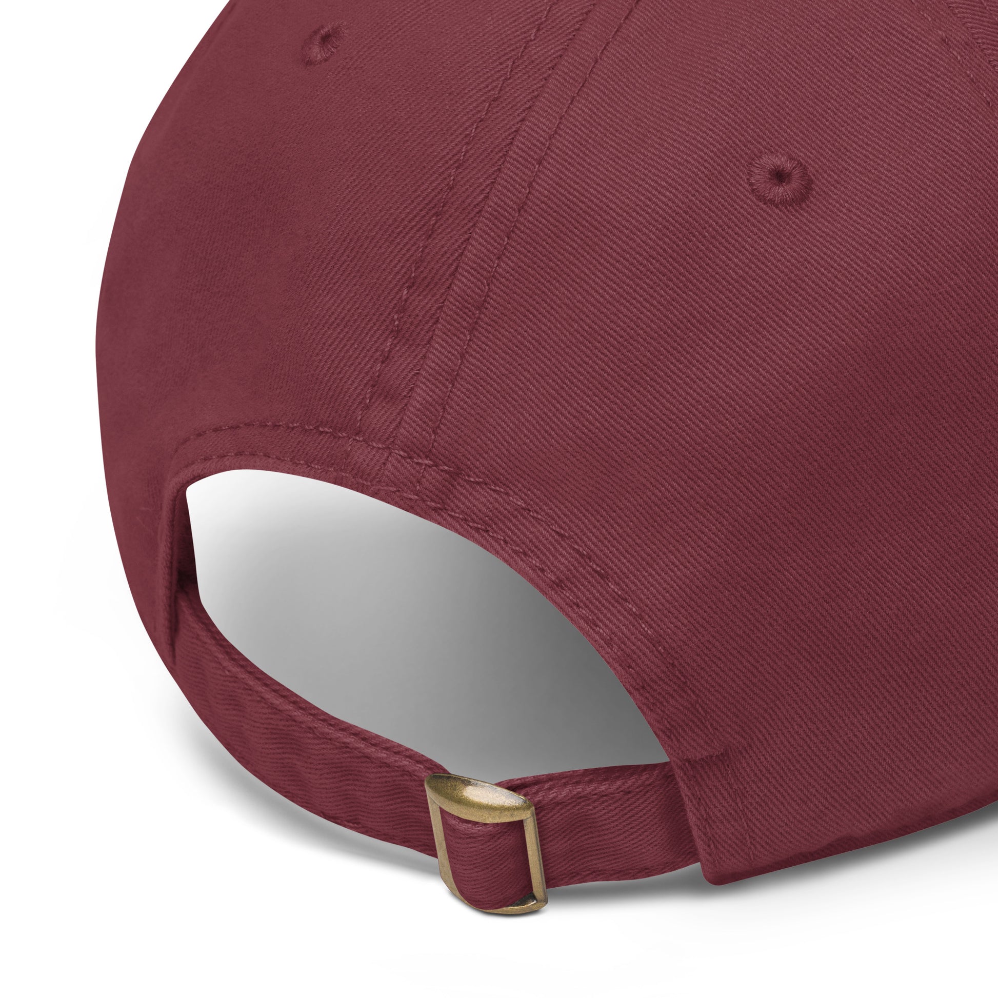 Retro Feline Adventure Maine Coon | Classic Baseball Cap for Cat Lovers by printfluence.net