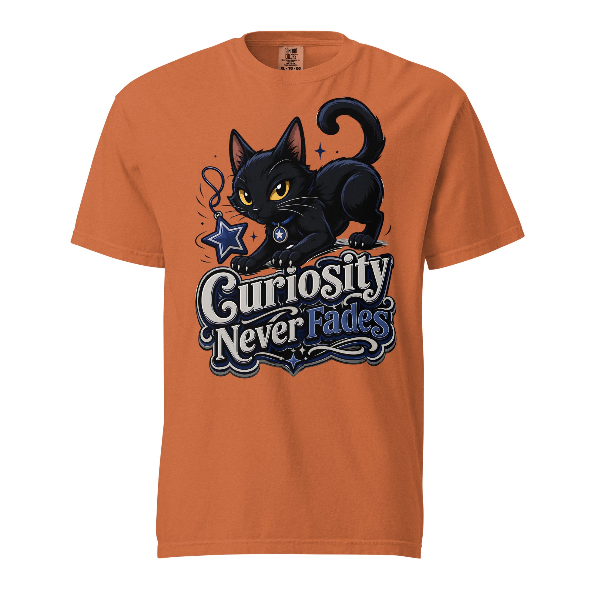 Curiosity Never Fades Cat Lovers Heavyweight Tee by printfluence.net