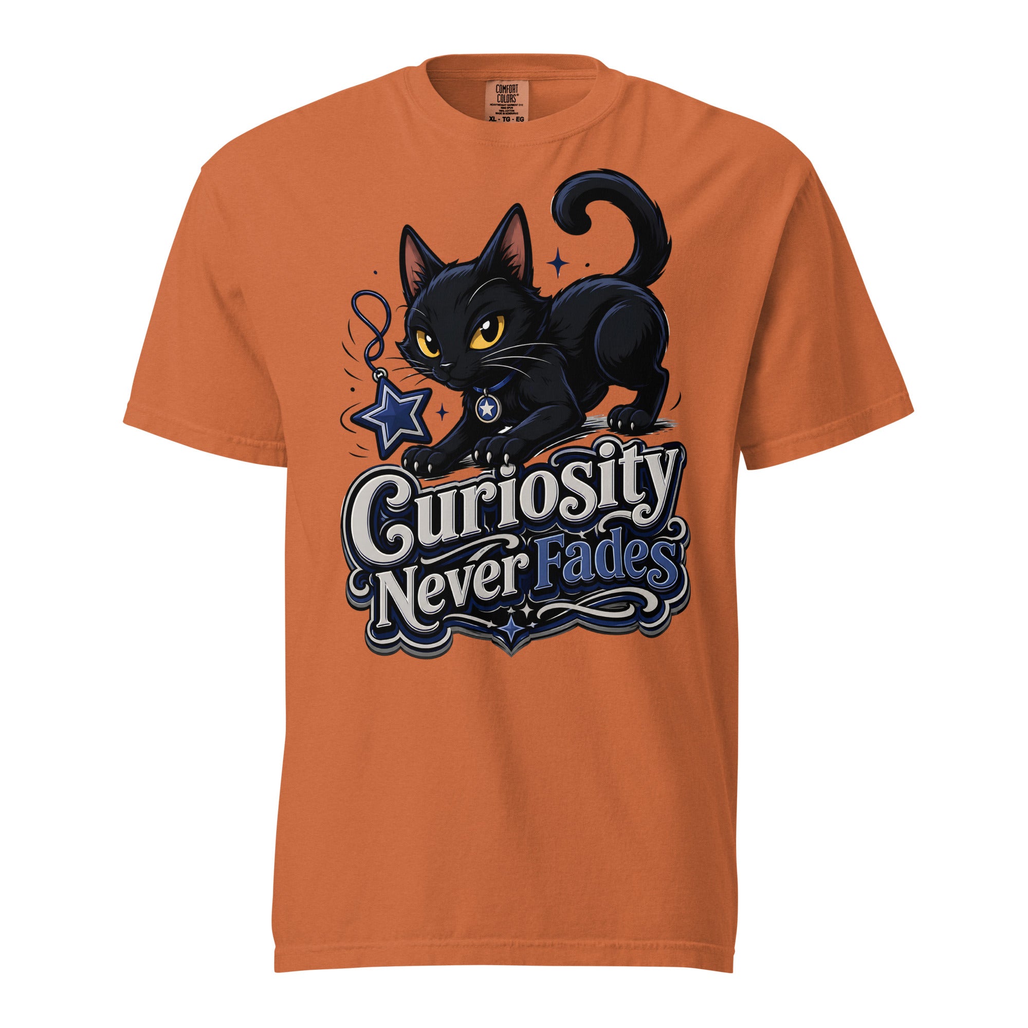 Curiosity Never Fades Cat Lovers Heavyweight Tee by printfluence.net
