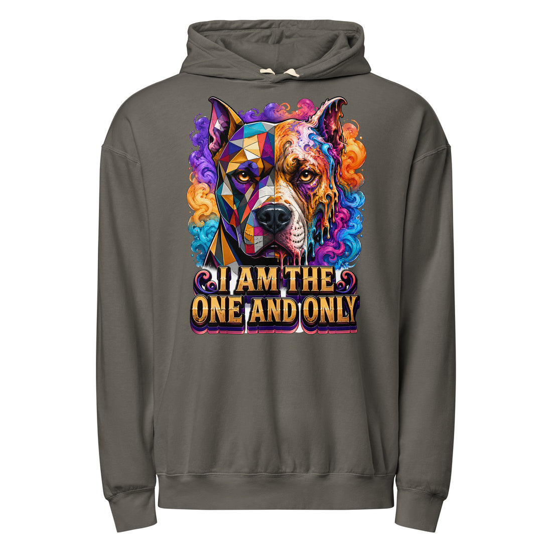 One and Only Pitbull Lovers Eco Garment-Dyed Lightweight HoodieH-6 by printfluence.net