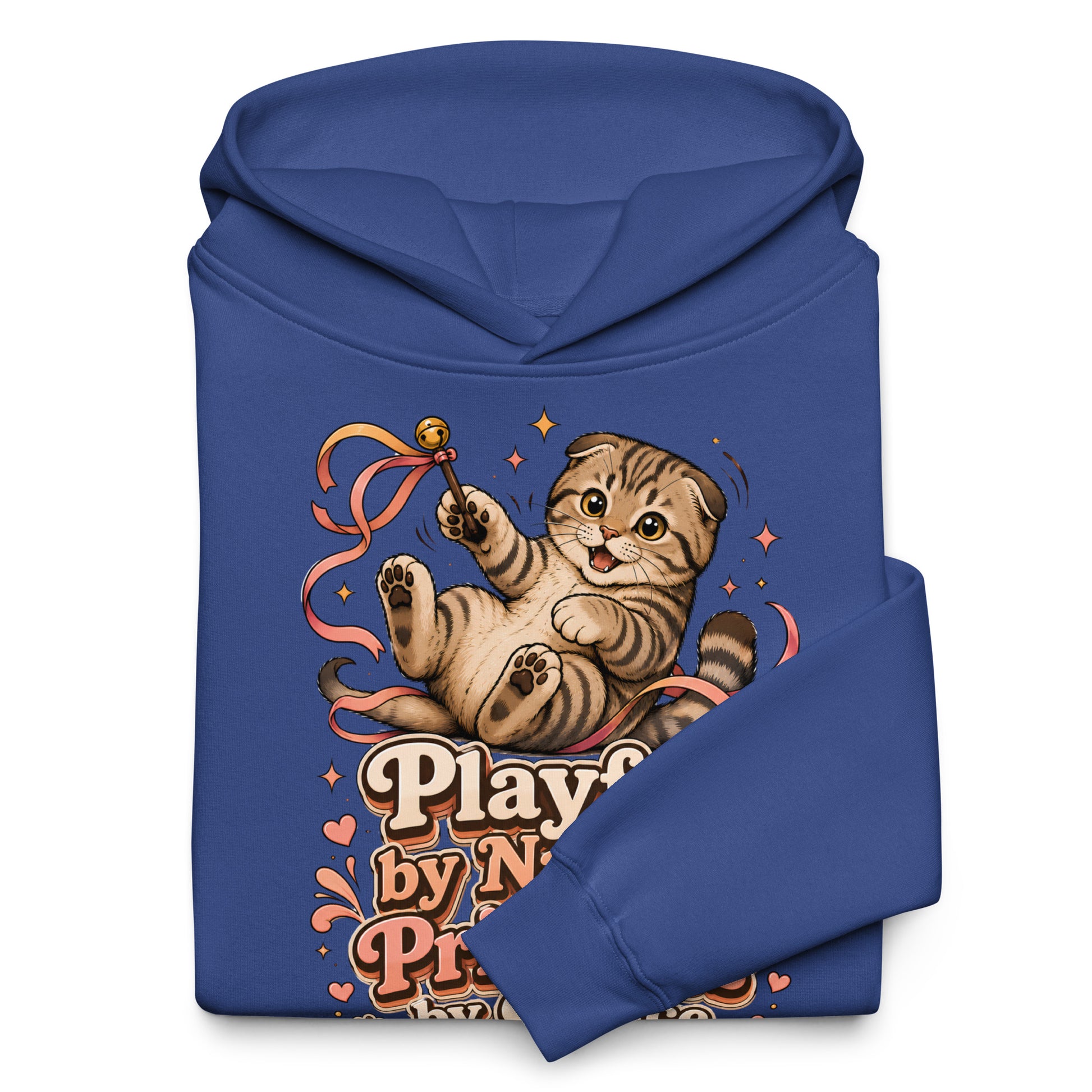 Cat Lovers Unisex Oversized Hoodie Playful by Nature, Priceless by Choice by printfluence.net