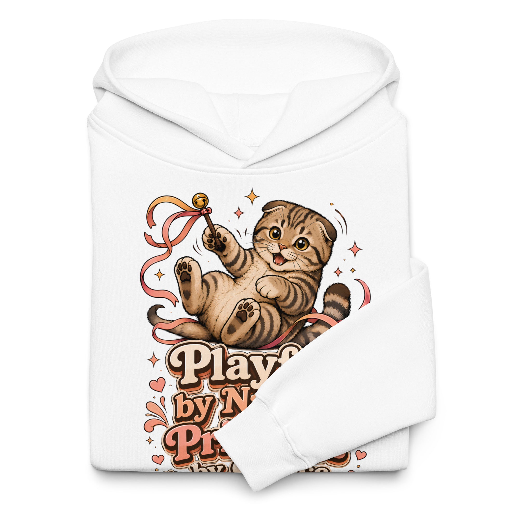 Cat Lovers Unisex Oversized Hoodie Playful by Nature, Priceless by Choice by printfluence.net